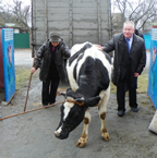 Микола Рудченко не полишає спроб навести лад із закупівельними цінами на молоко